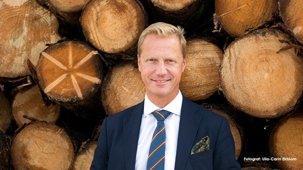 Henrik Sjölund, vd och koncernchef på Holmen och ordförande för Skogsindustrierna.