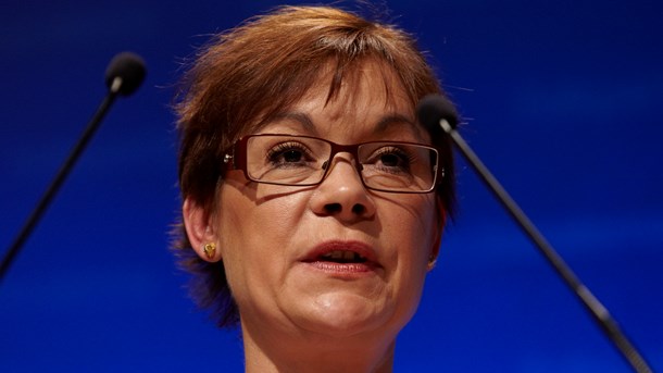 Karin Pilsäter, Skattepolitisk expert TCO.